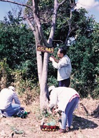 《雑賀崎における自然環境と歴史を生かした地域づくり》［D01-K-314］で、手作りの案内板を設置しているところ