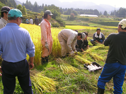 若者とともに行う農作業。2008年度 地域社会プログラム「過疎化農山村におけるニート・引きこもり青少年の早期自立促進と新規就農支援プロジェクト」